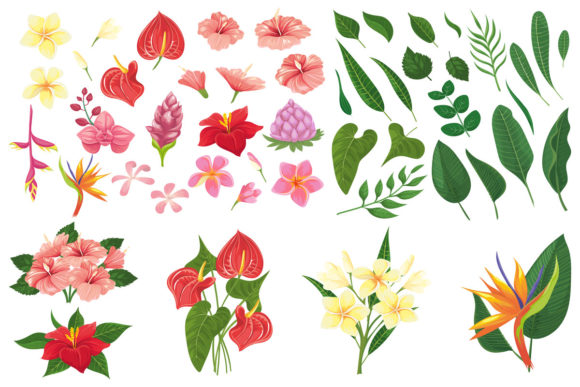 Download Tropic Forest Flowers - Forest Collection